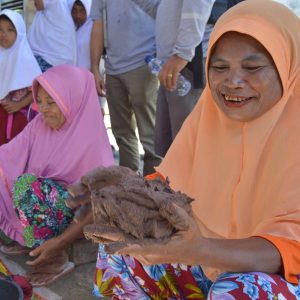 Using Results Chains to Improve Strategy Effectiveness: An FOS How-To Guide