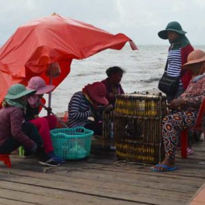 Conservation Enterprises: Using a Theory of Change Approach to Synthesize Lessons from USAID Biodiversity Projects