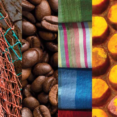 Cross-Site Learning Agenda for Conservation Enterprises