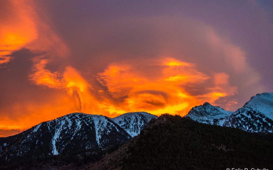 CCNet Europe Celebrates 10 Years!