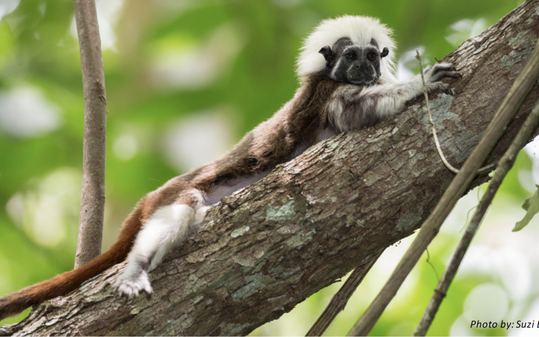 Lessons from the Field December 2017