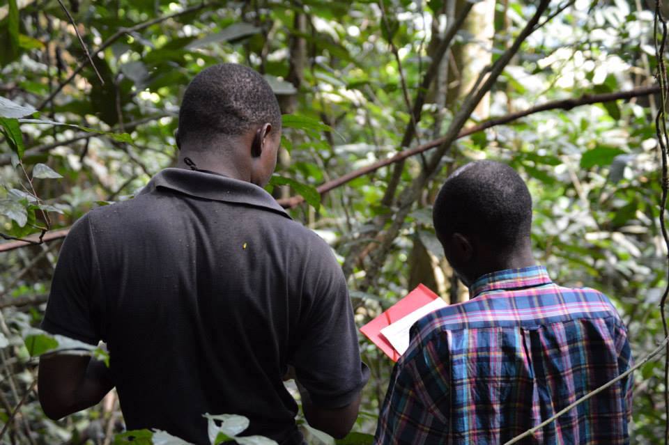 FOS M&E How-To Guide now available!