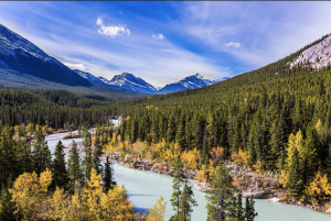 Standing with the Black Community