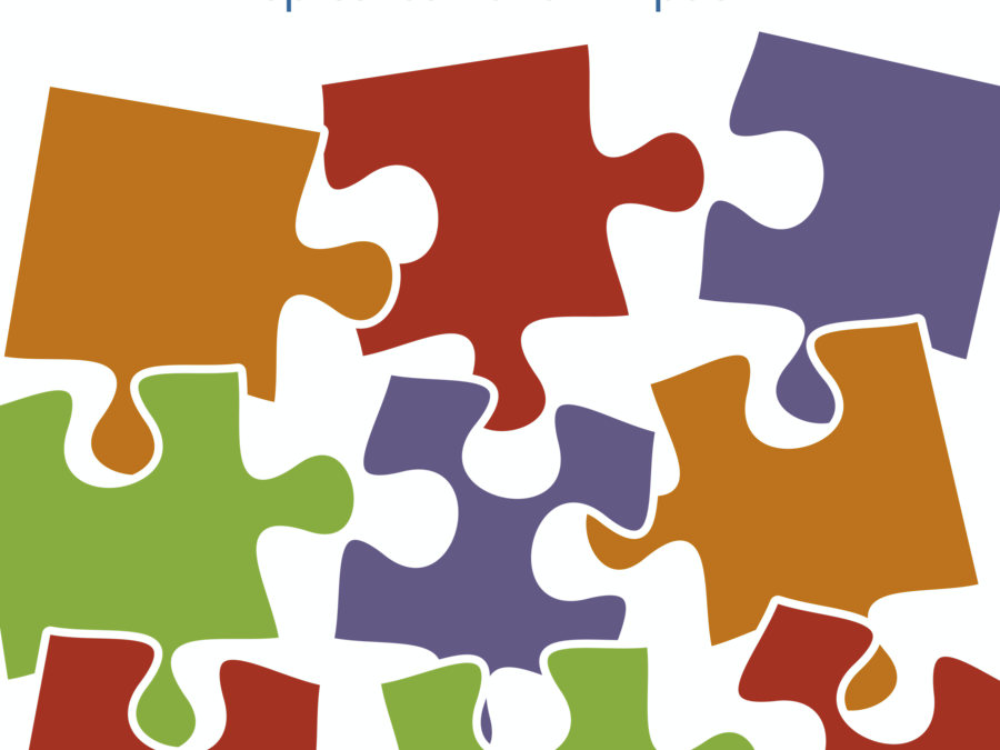 Publication on Strategic Partnerships – an effective approach to scaling up conservation impact