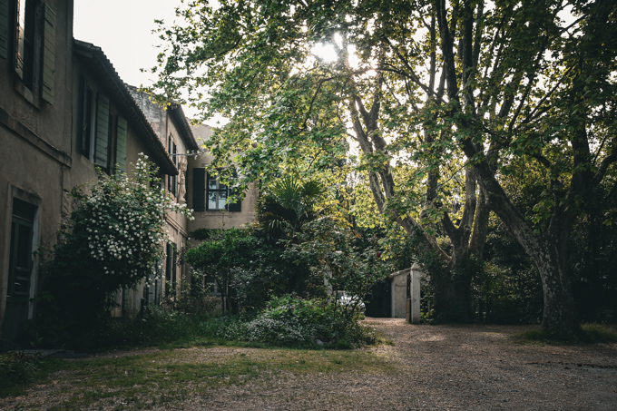 A backlit yard surrounded by trees with an old white house at left