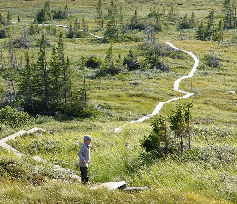 Outdoor recreation planning and management in protected areas