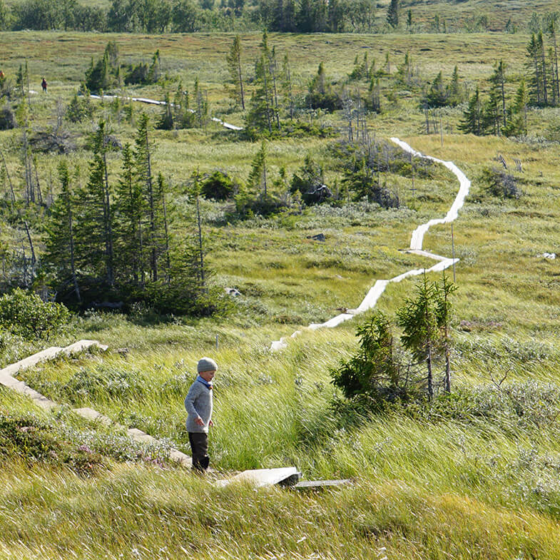 A child engaged in outdoor recreation in a protected area in Sweden.